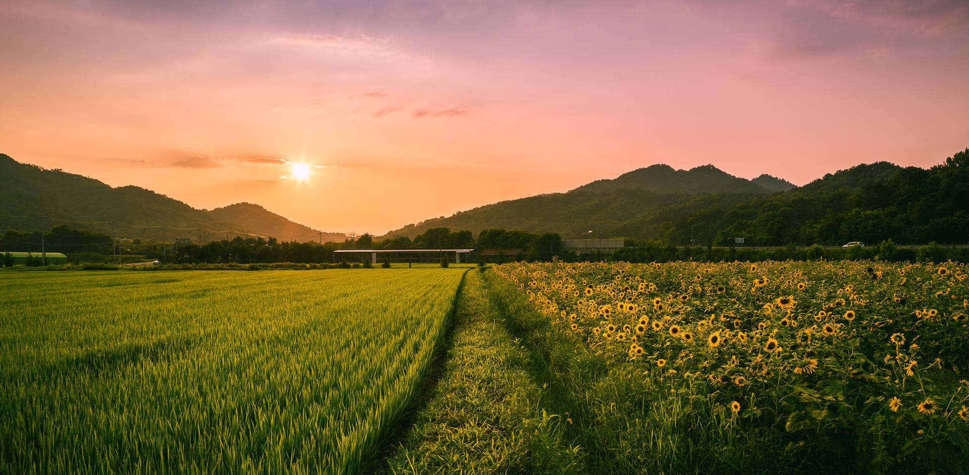Bioenergie Raab GmbH